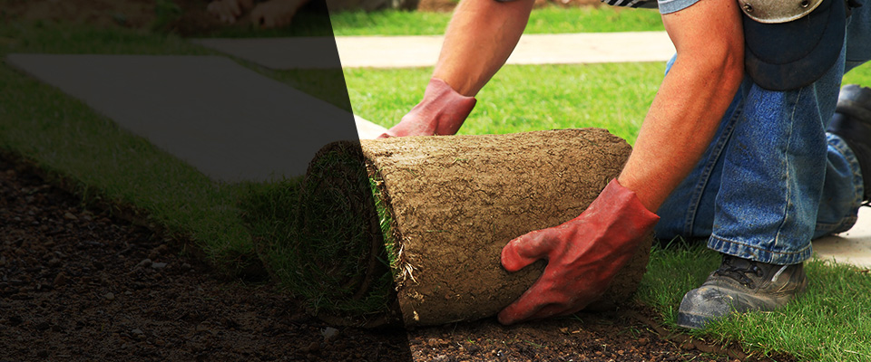 Hiram Landscapers